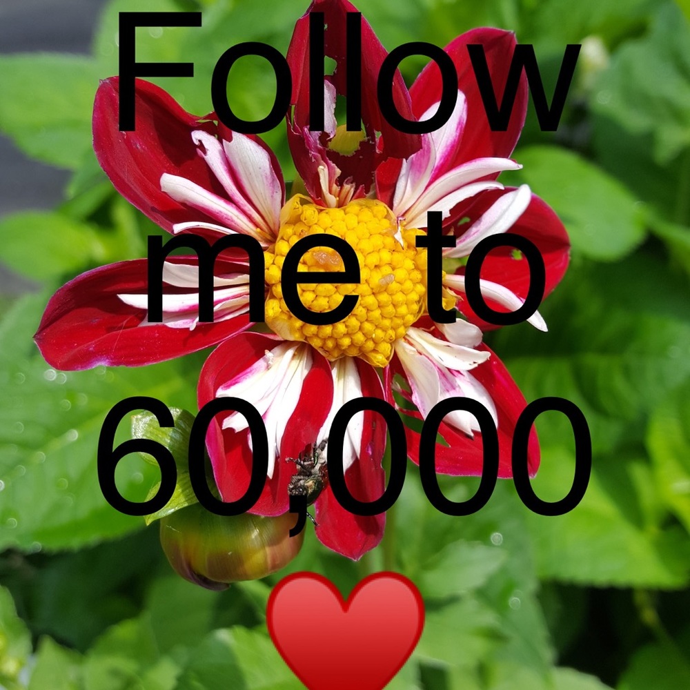 🌀NEXT STOP 400K! 🌀 FOLLOW ME! - Picture 11 of 12